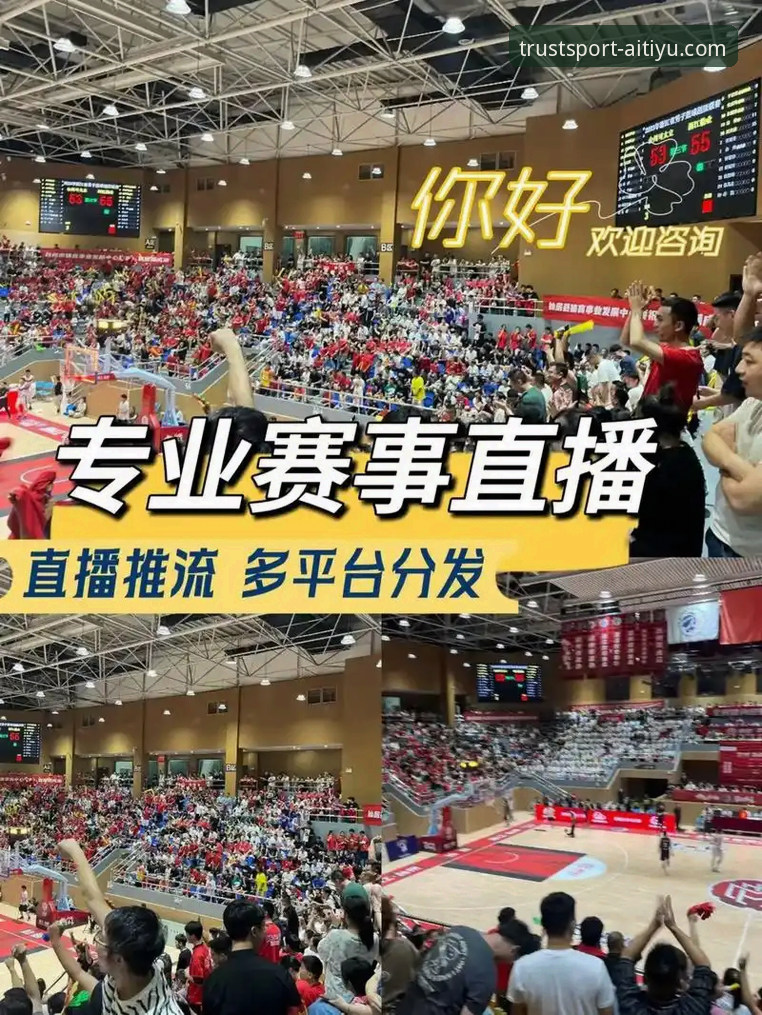 爱体育电脑版使用详解：老用户带你玩转赛事直播与数据查询